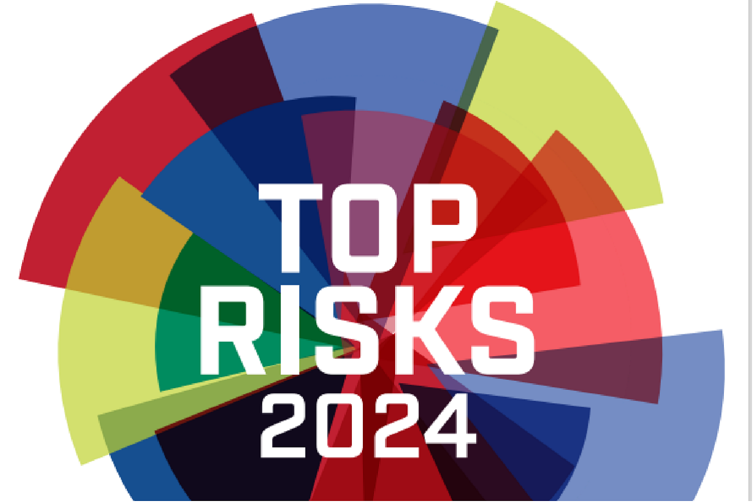 Top risk 2024