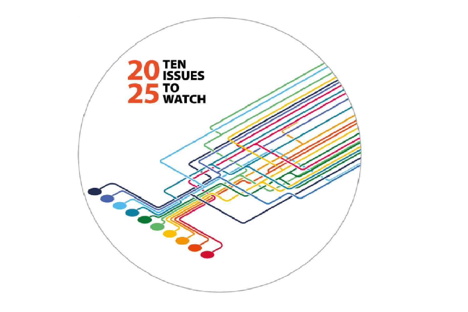 2025 issues to watch